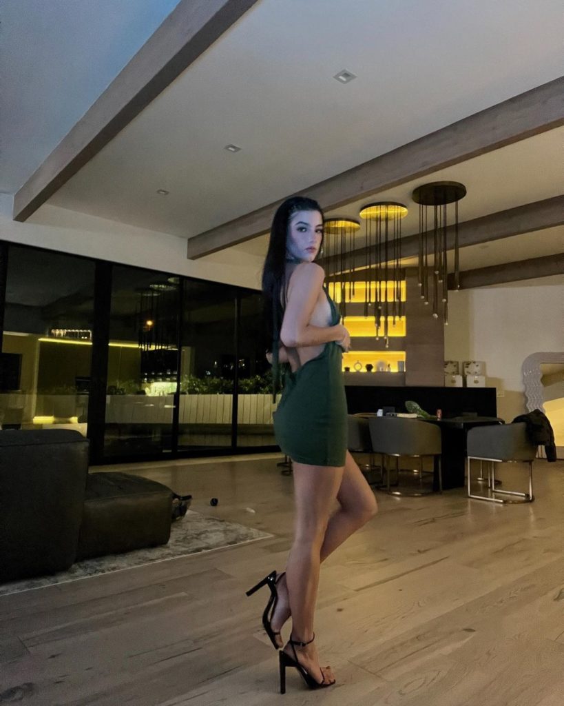 Charli D Amelio Hot Image