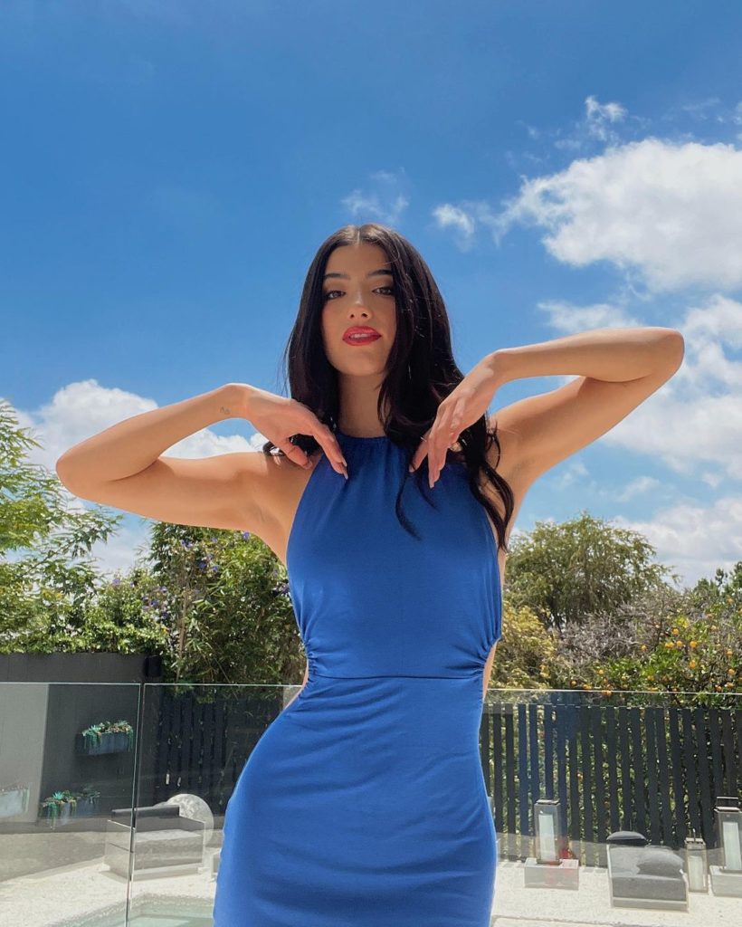 Latest Charli D Amelio Photo in Blue Dress